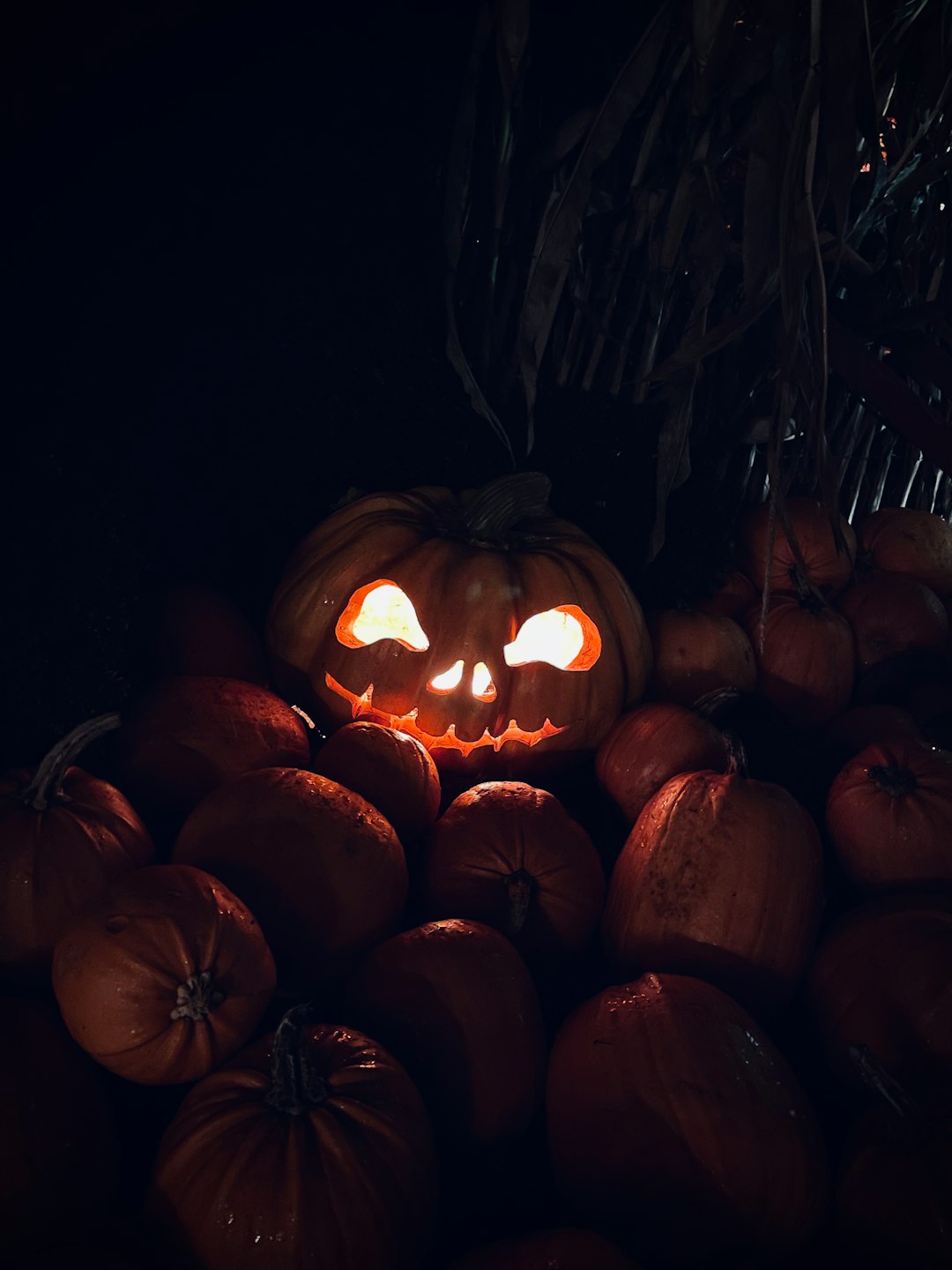 How is halloween celebrated around the world