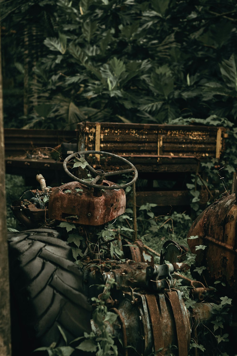 a bunch of old tires sitting in the middle of a forest