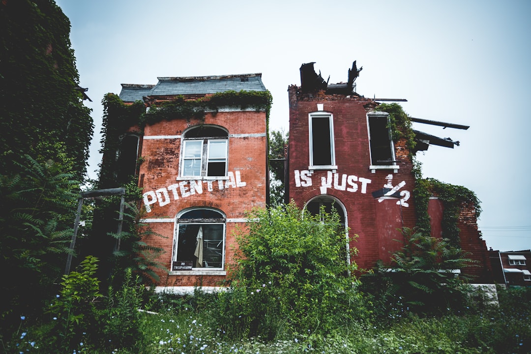 a house with trees in front of a brick building, Decayed house in St. Louis