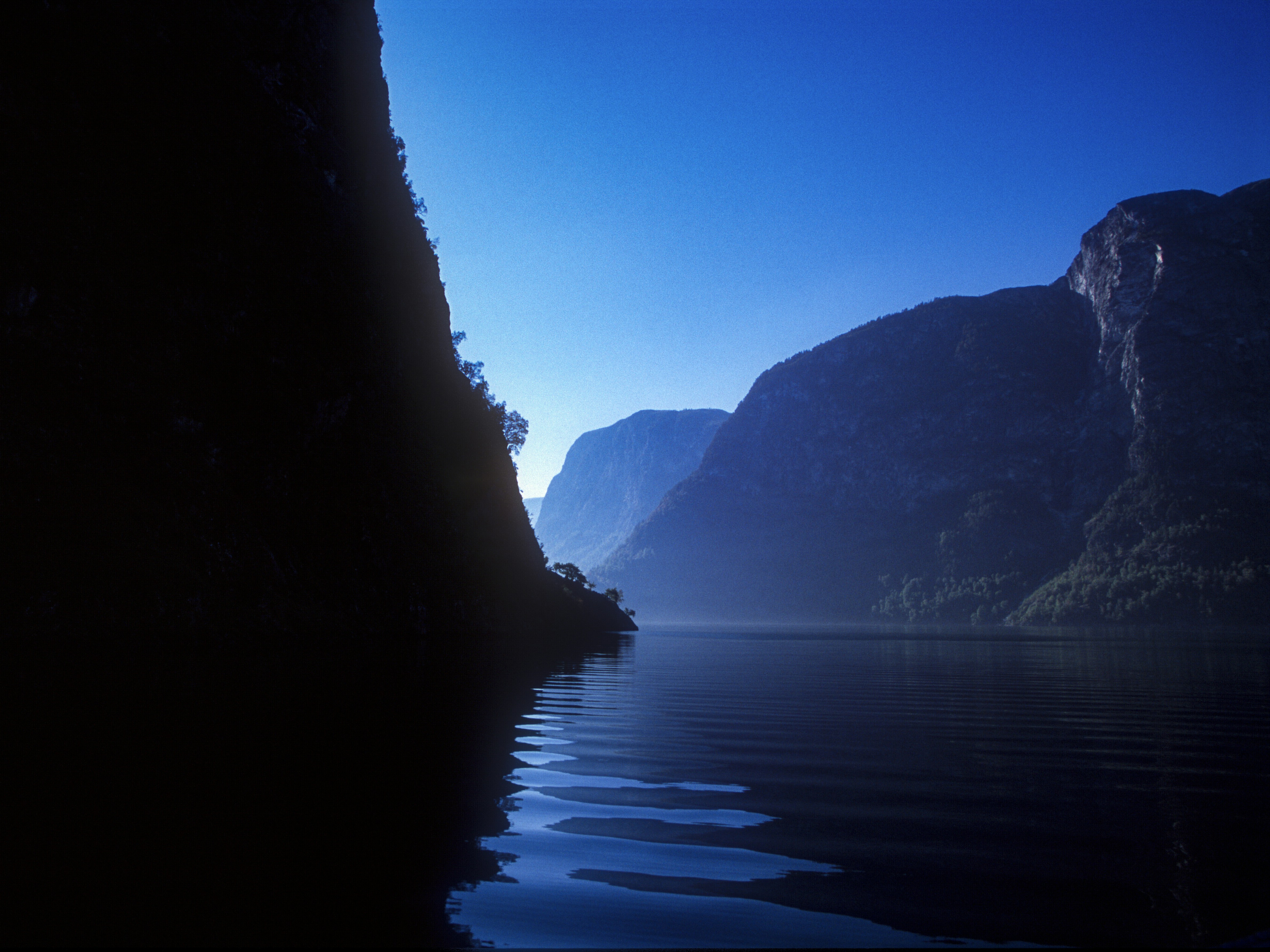 Photo by rocinante_11