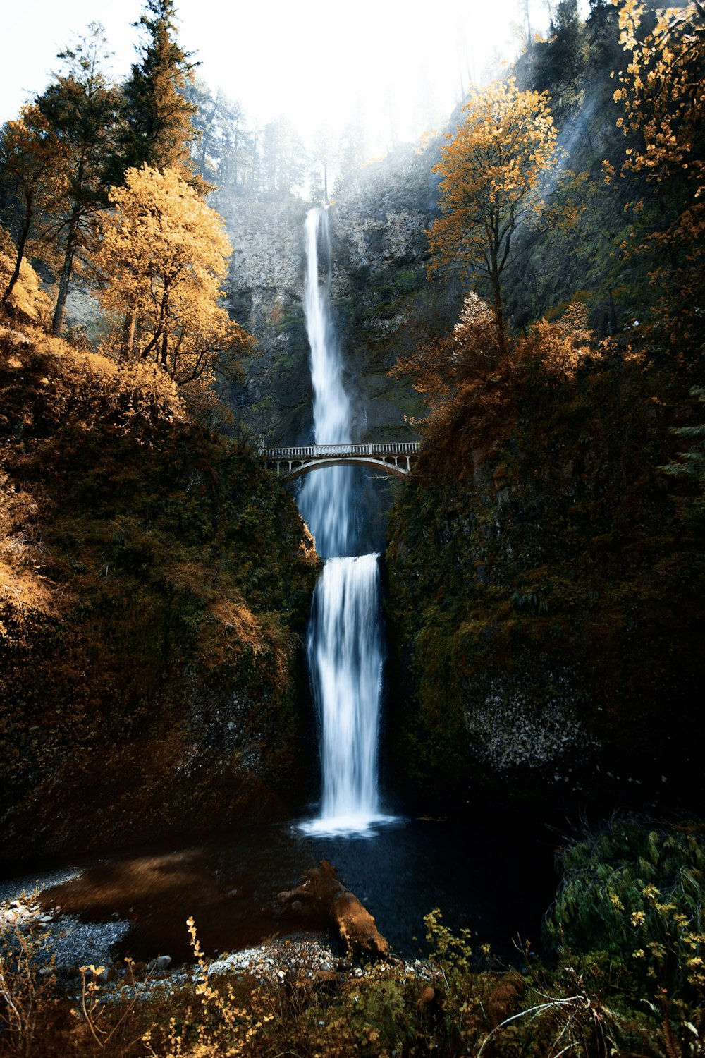 a waterfall with a bridge over it surrounded by trees