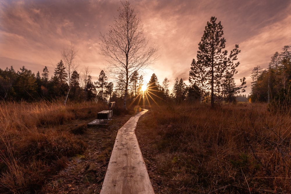 the sun is setting over a path in the woods