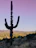 A tall saguaro cactus stands prominently against a backdrop of a sprawling desert landscape. The sky has a gradient from purple to blue, creating a serene ambiance. In the distance, a mountain range is visible, along with a spread of vegetation and some structures in the valley below.