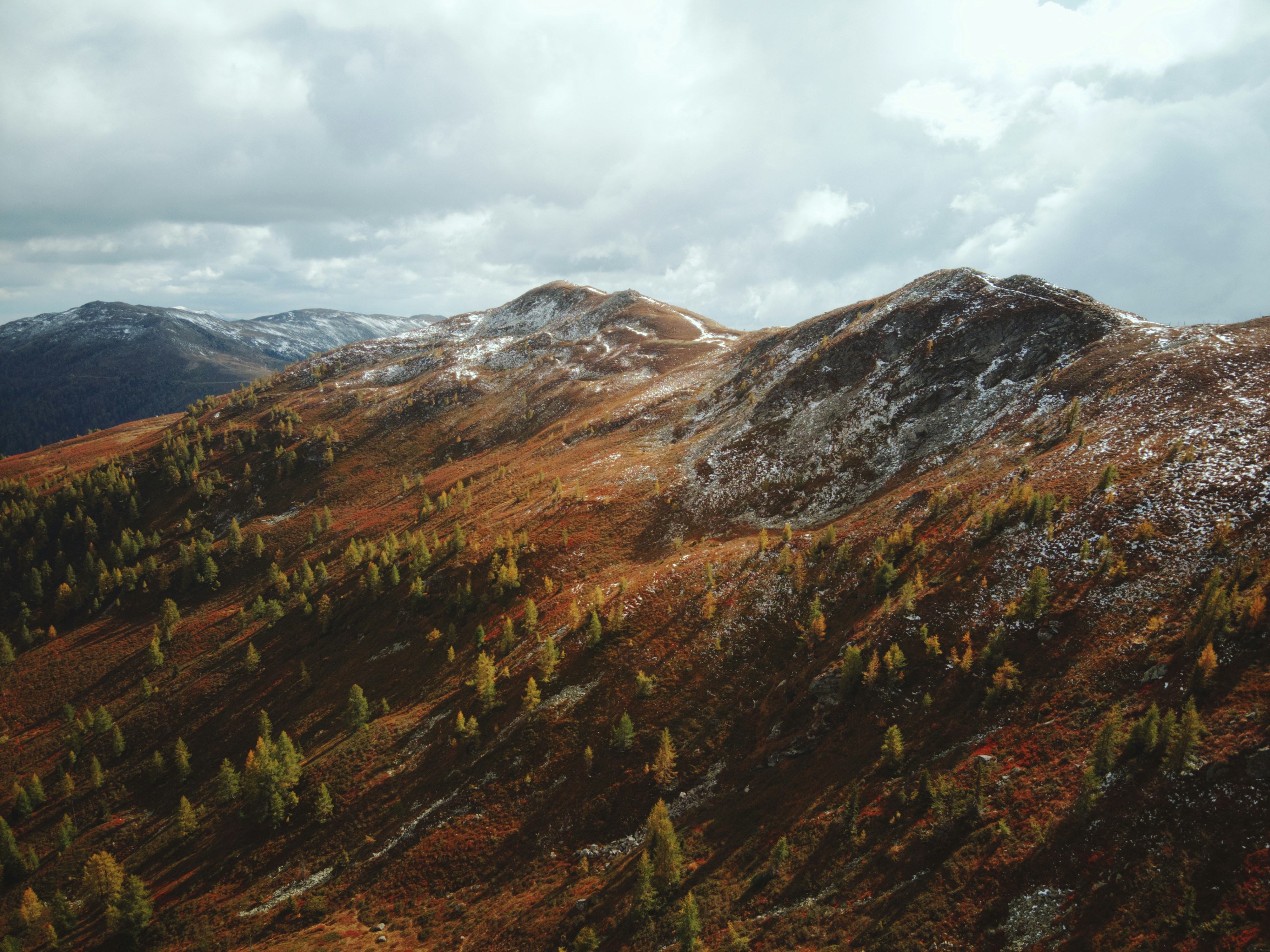 Photo by meister_stamm