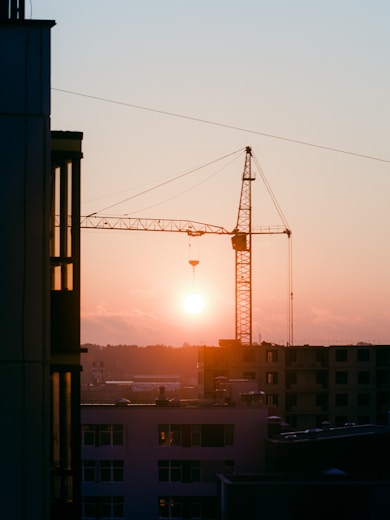 a crane is silhouetted against the setting sun