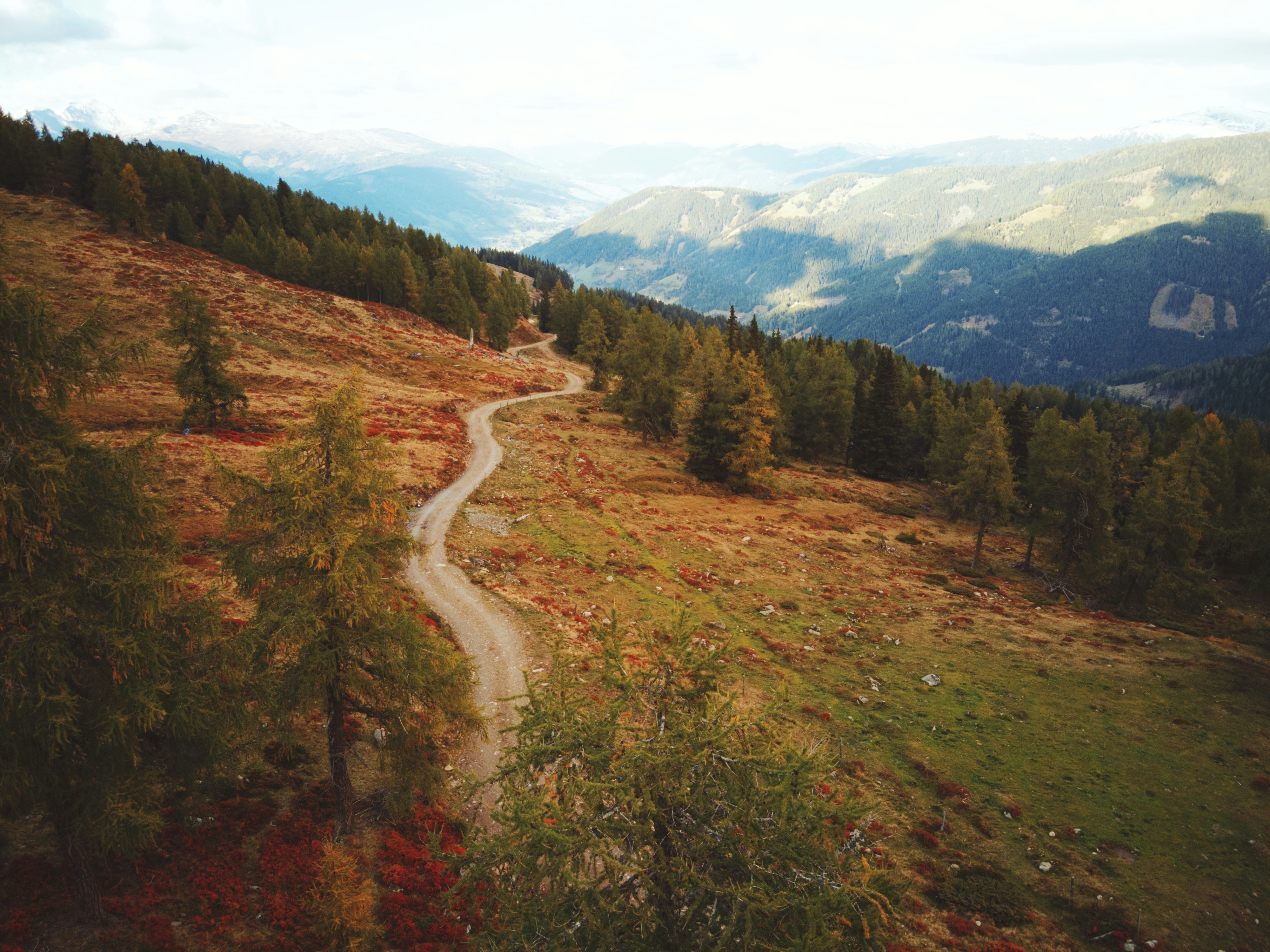 Photo by meister_stamm