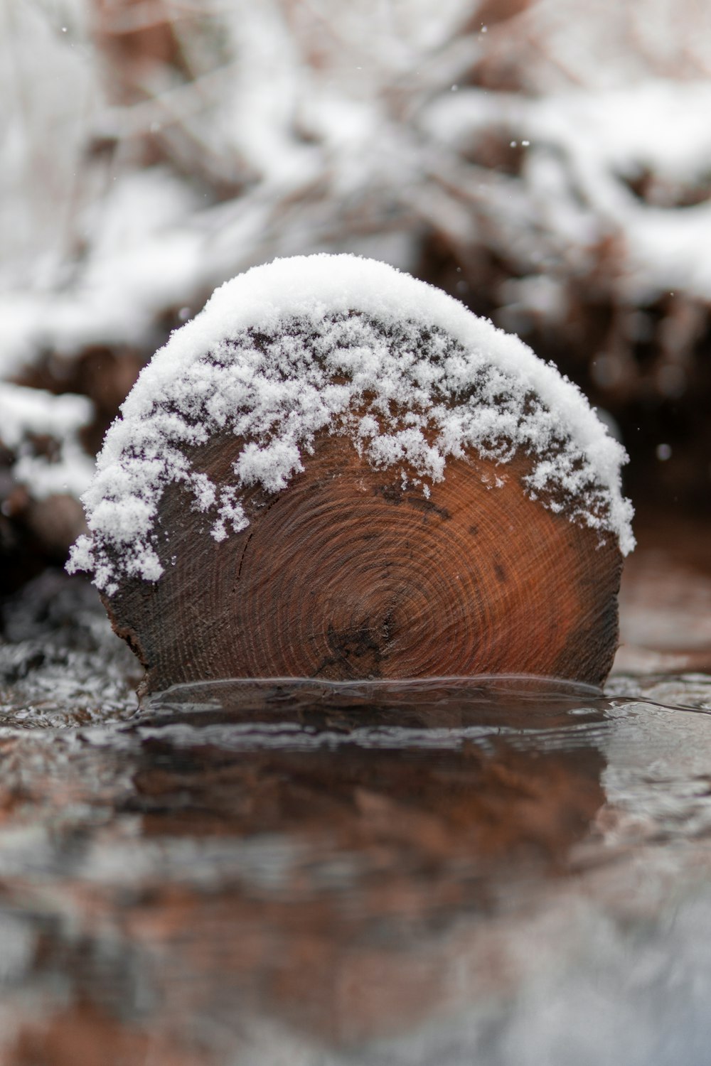 a piece of wood is covered in snow