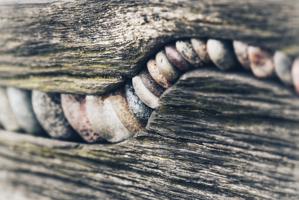 a close up of a wooden bench with nails on it