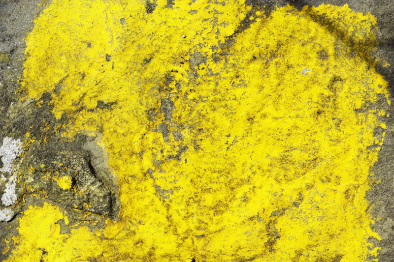 Bright yellow sulphur deposits