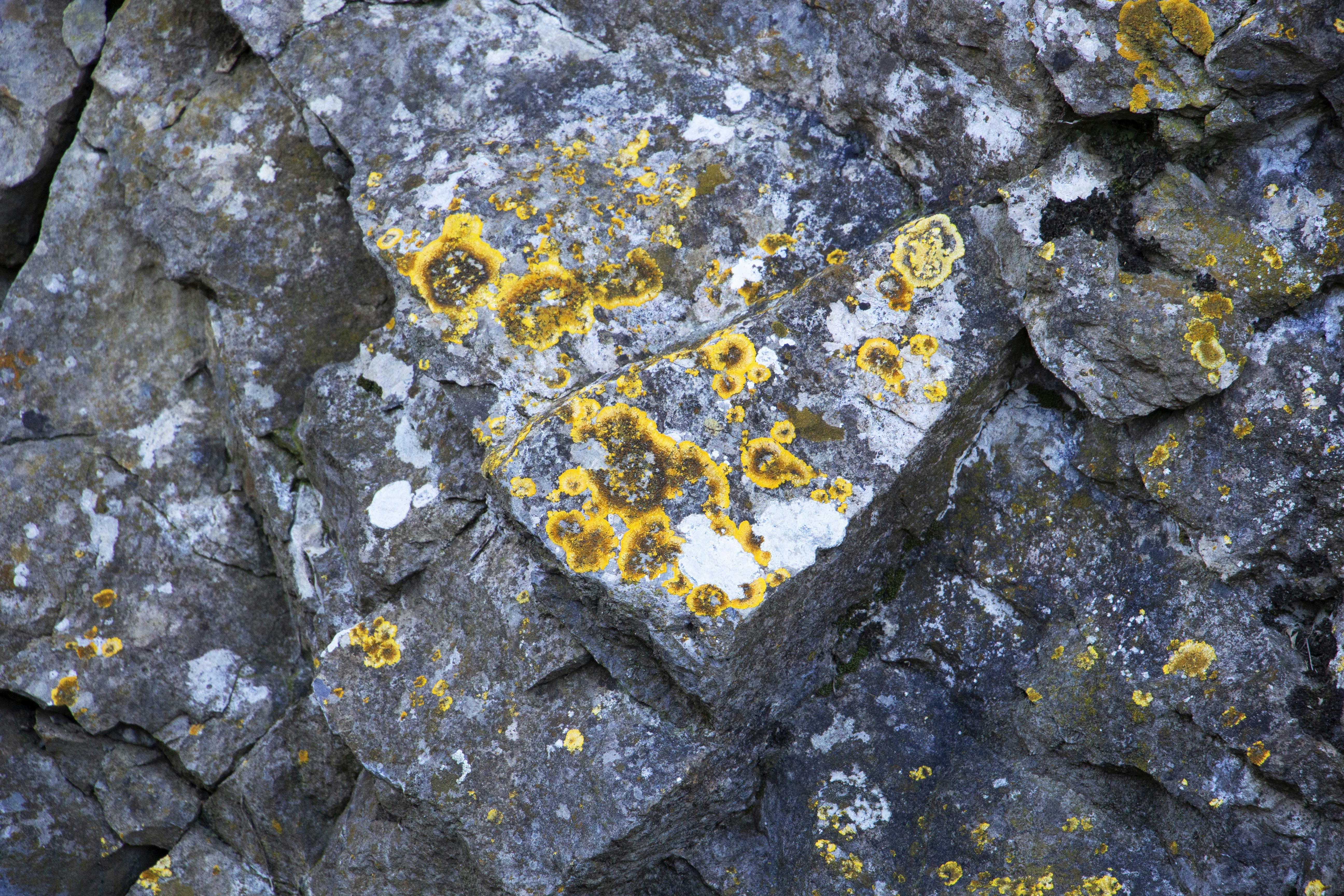 Photo by batou_de_naboo