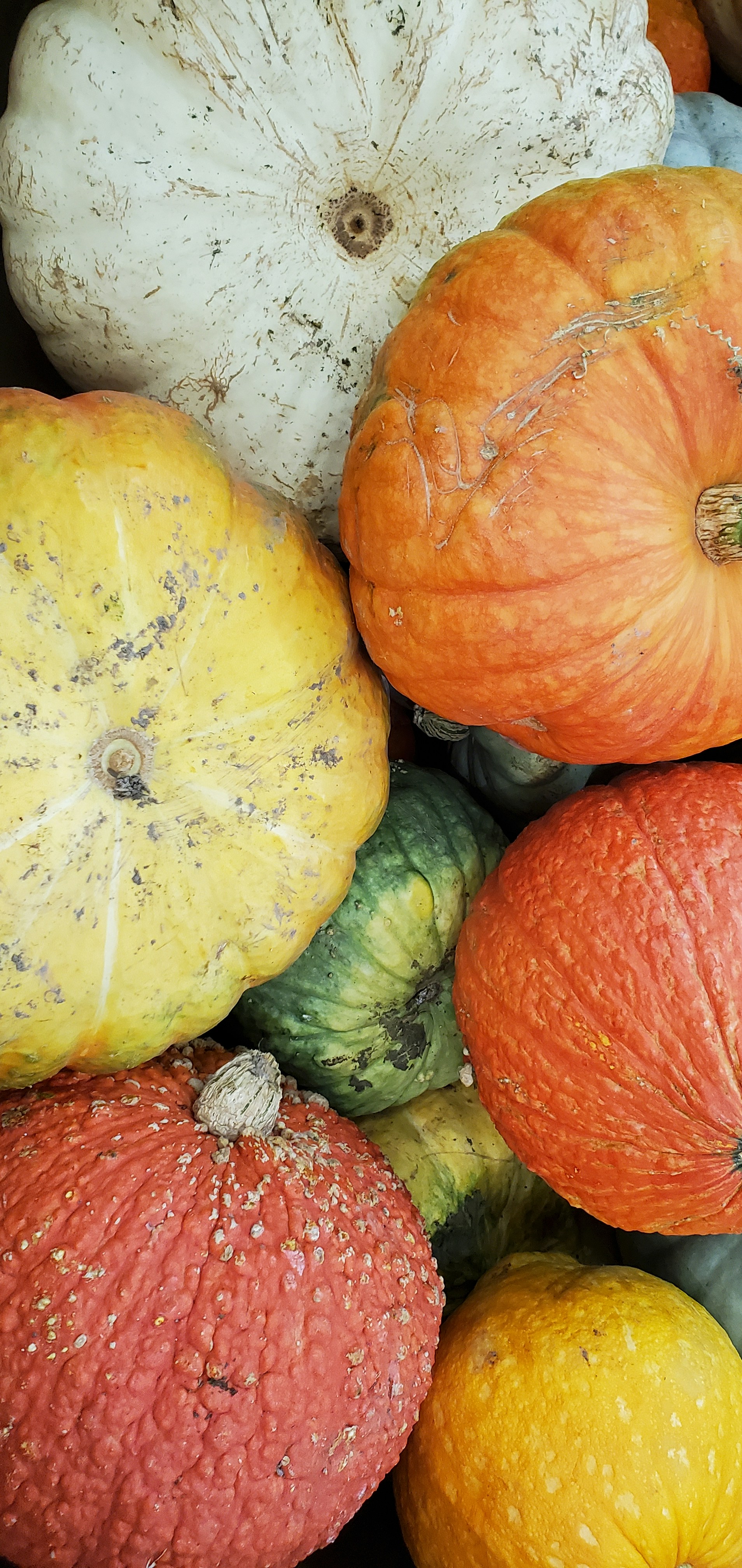 Photo by karolinabobek