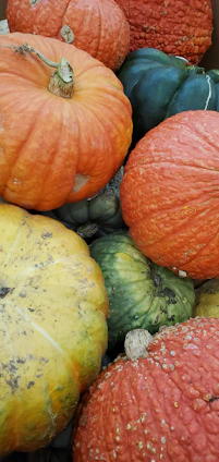 a box filled with lots of different types of pumpkins