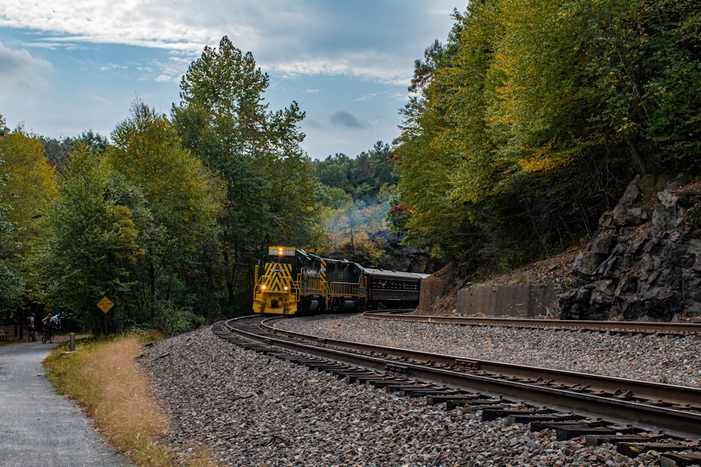 a train traveling through a lush green forest