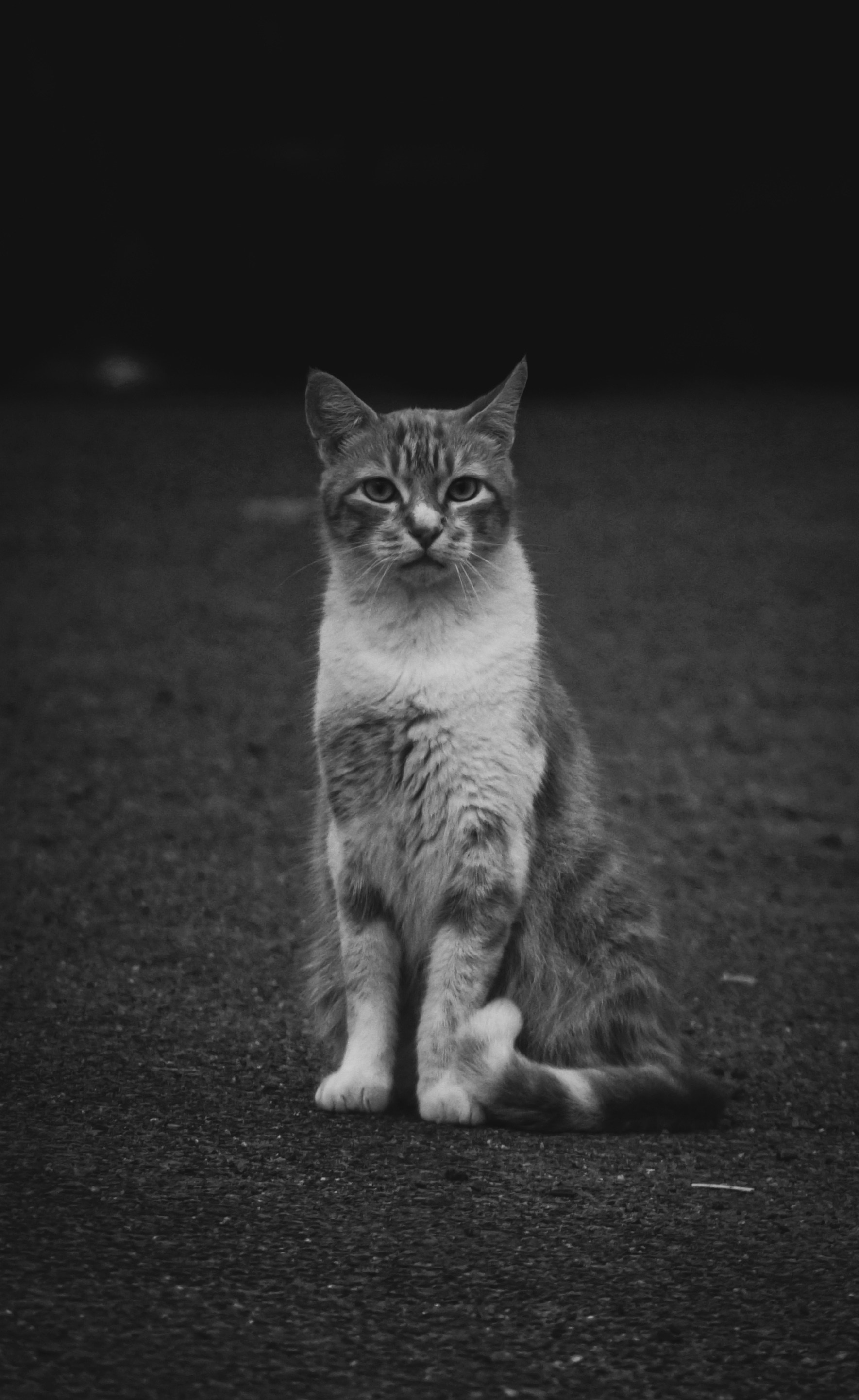 Photo by wendelknuivers