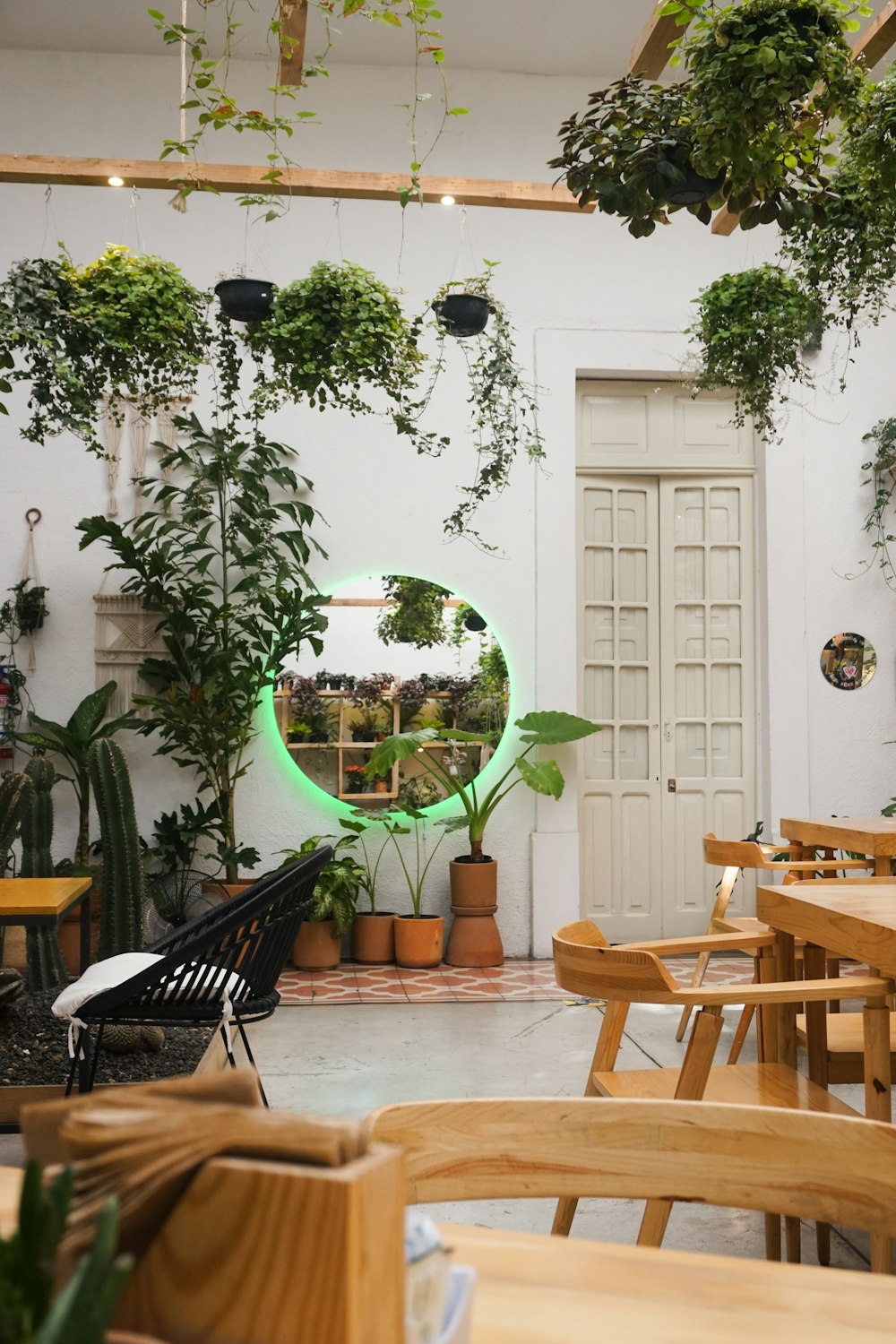 a room filled with lots of plants and tables