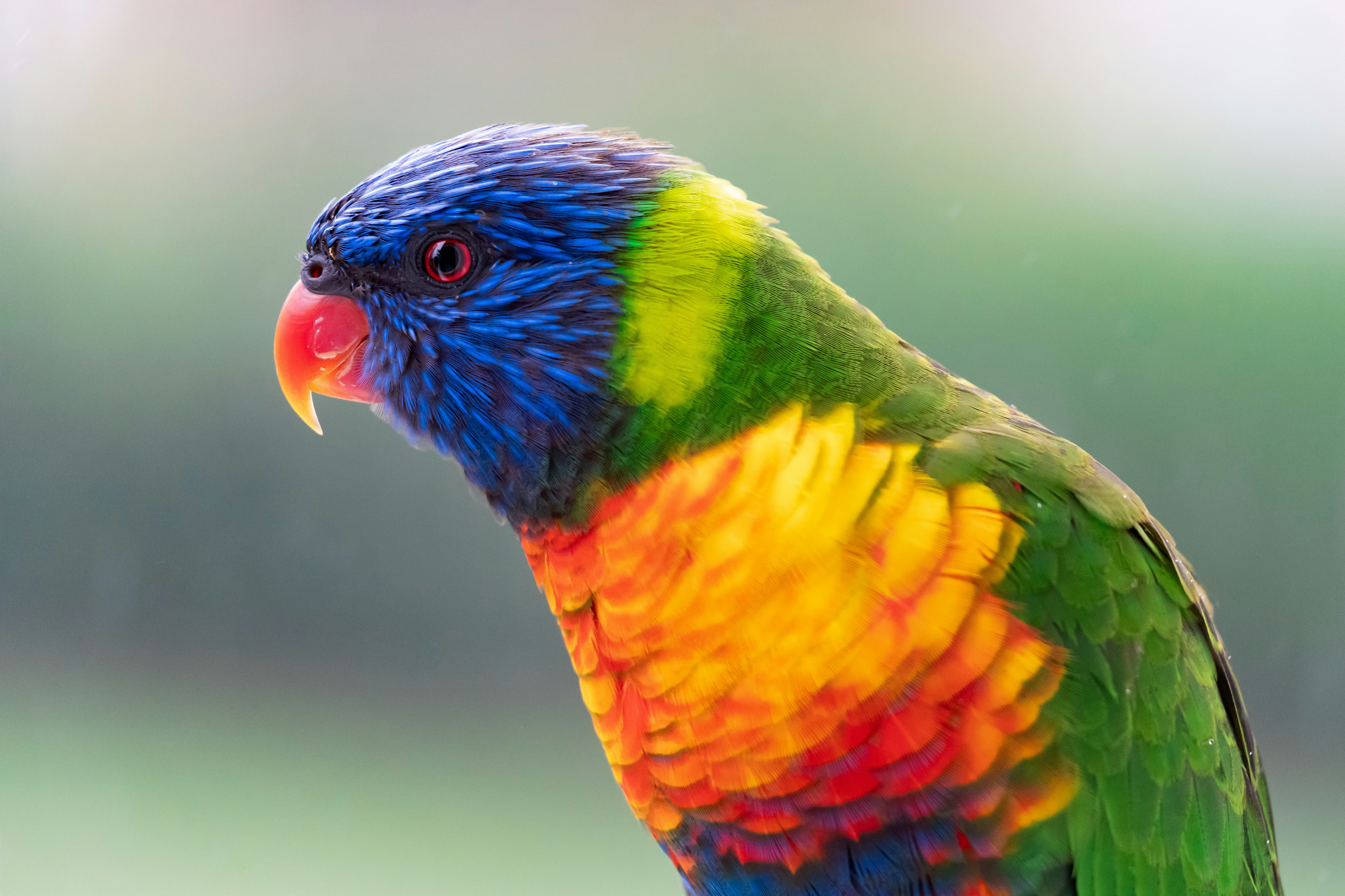 Photo by gbrlsepulveda