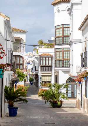 a narrow street with potted plants on either side