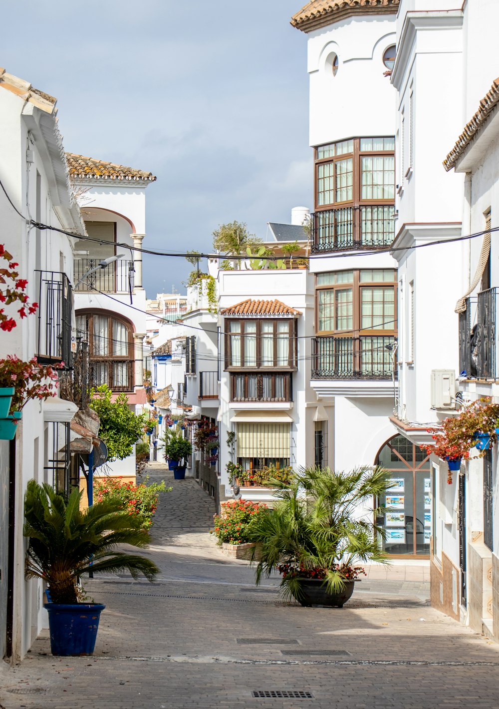 a narrow street with potted plants on either side