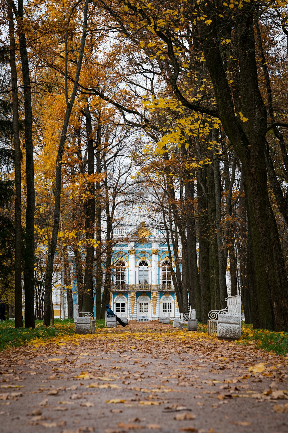 a bench sitting in the middle of a leaf covered park