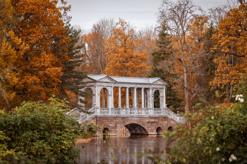 un ponte su uno specchio d'acqua circondato da alberi