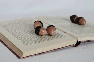 An open book lies on a surface with four acorns placed on its pages. The book's text is in small, black print, and the pages appear slightly yellowed with age. The acorns are positioned in such a way that they seem to be scattered naturally over the book.