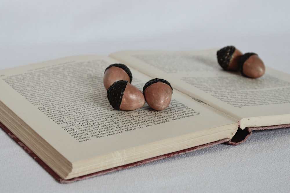 an open book with two pieces of chocolate on top of it