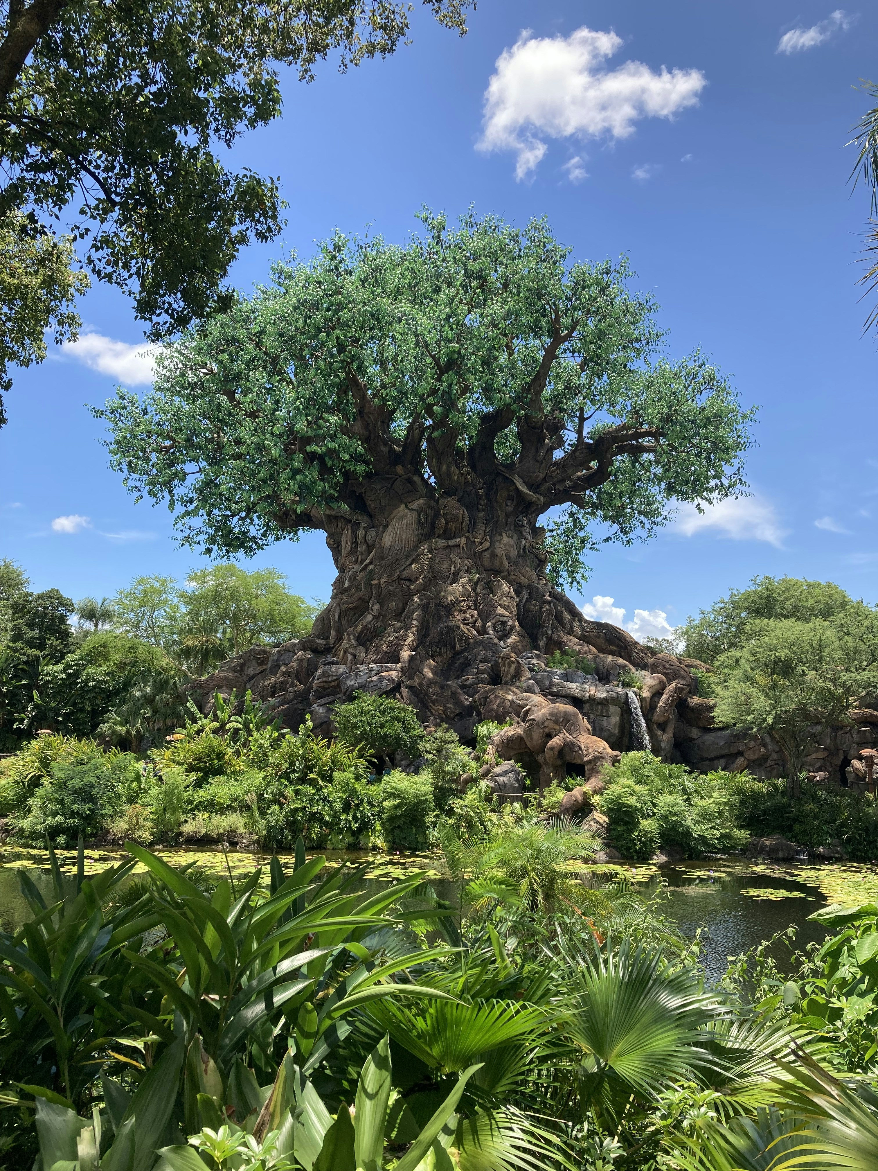 Animal Kingdom