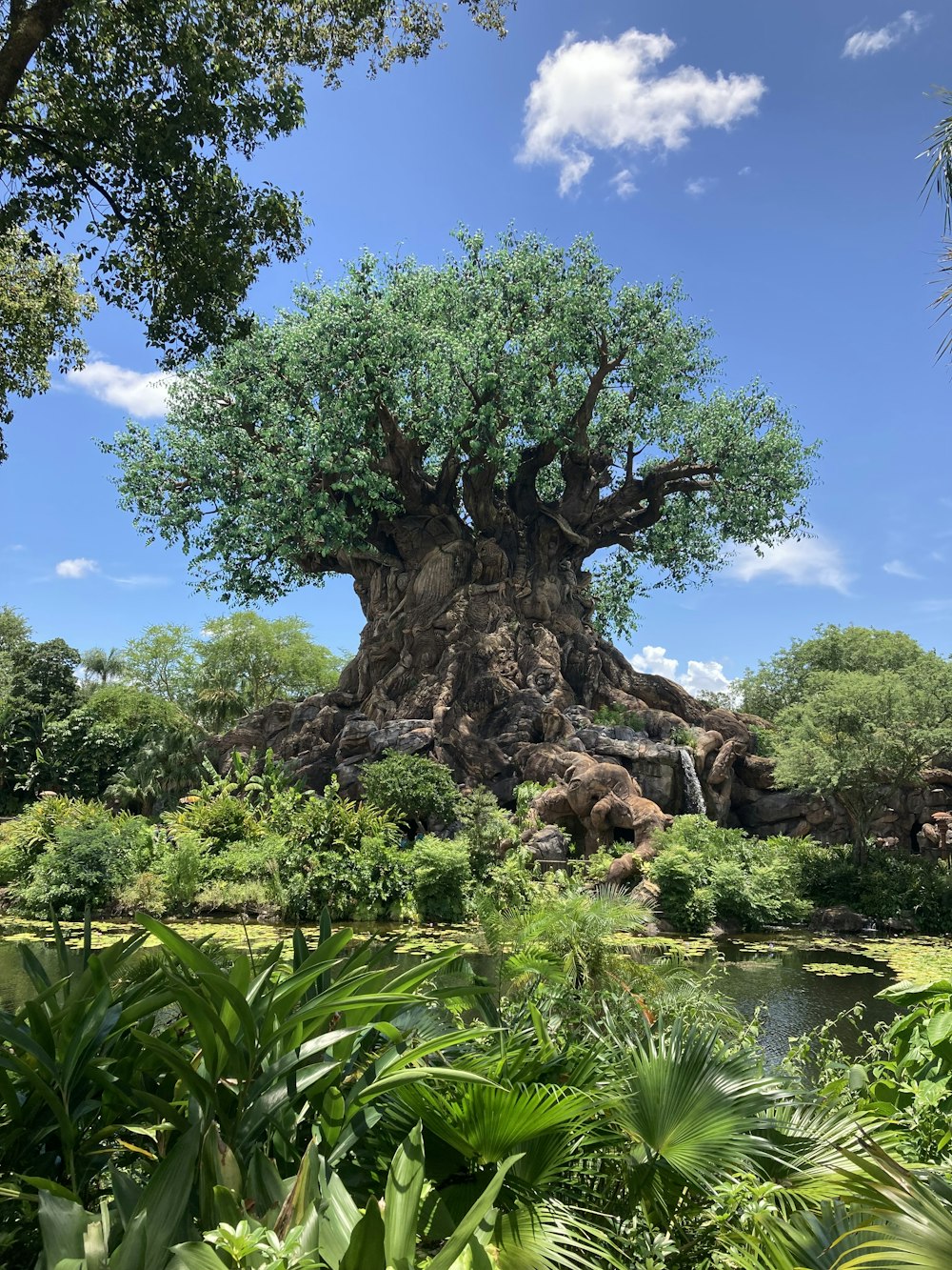 the tree of life at disney's animal kingdom