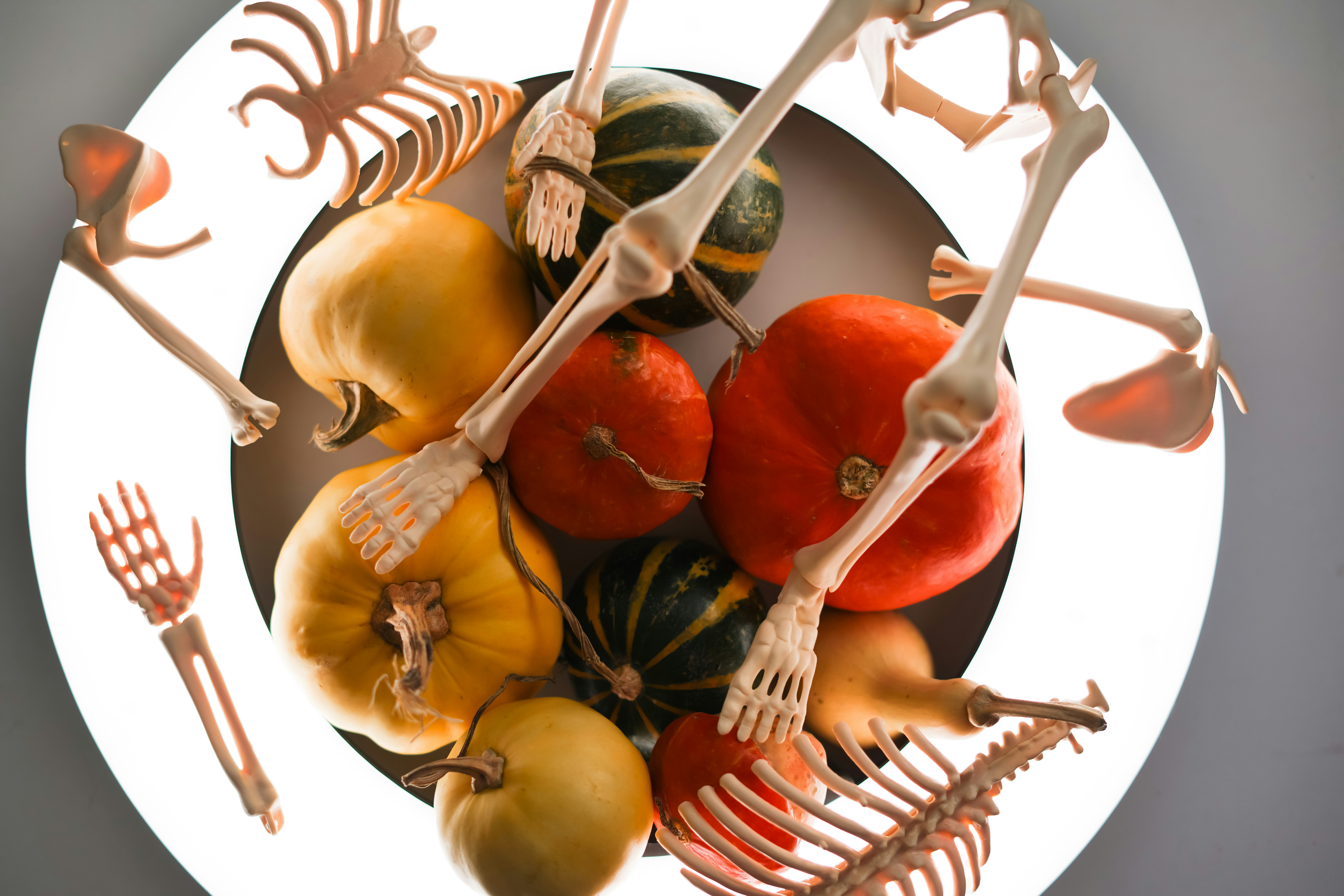 Are Raw Bones Safe For Dogs?