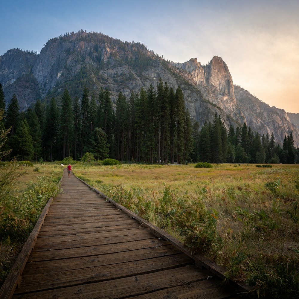 a wooden walkway leading to a mountain with a forest in the background