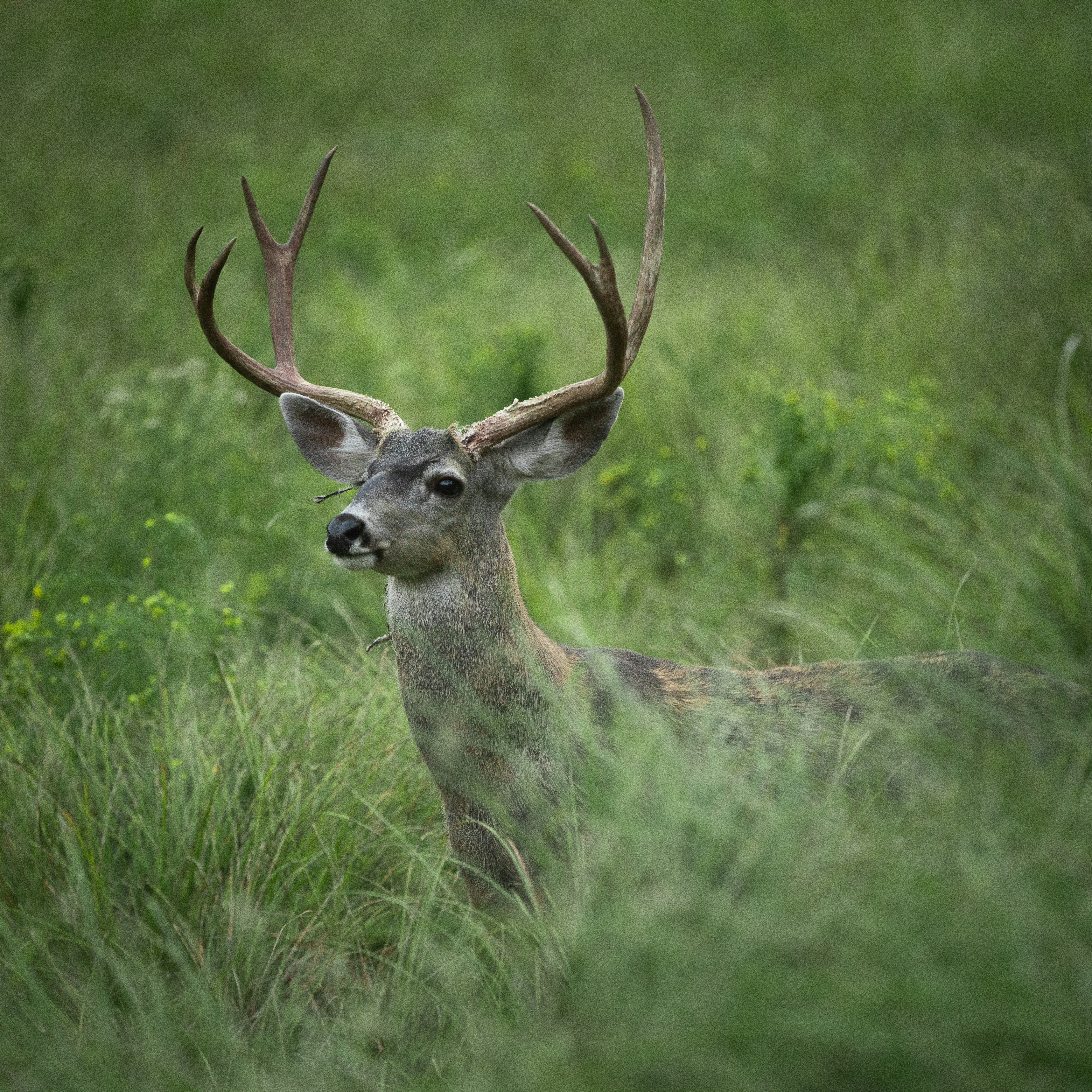 Photo by intricateexplorer