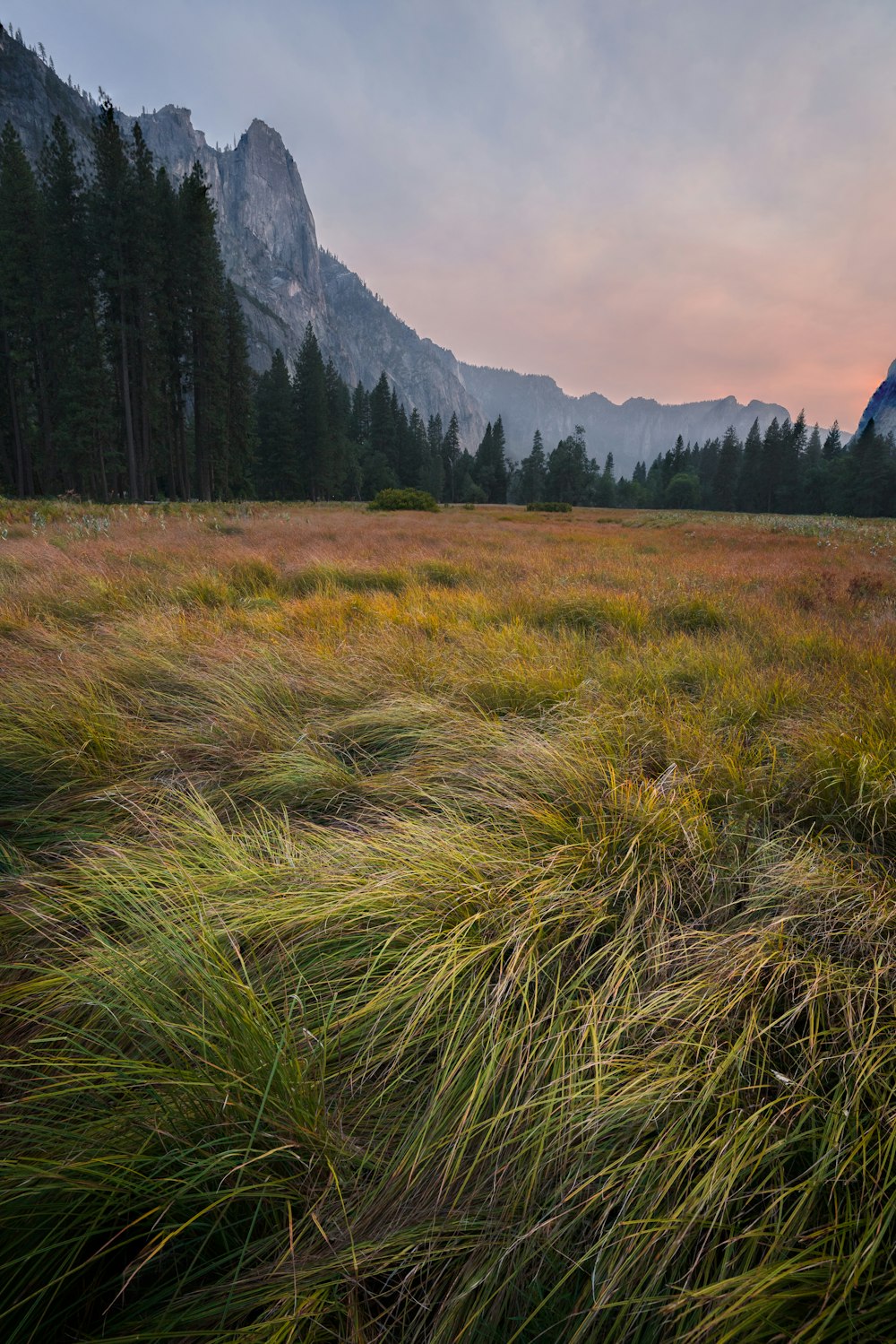 a grassy field with mountains in the background