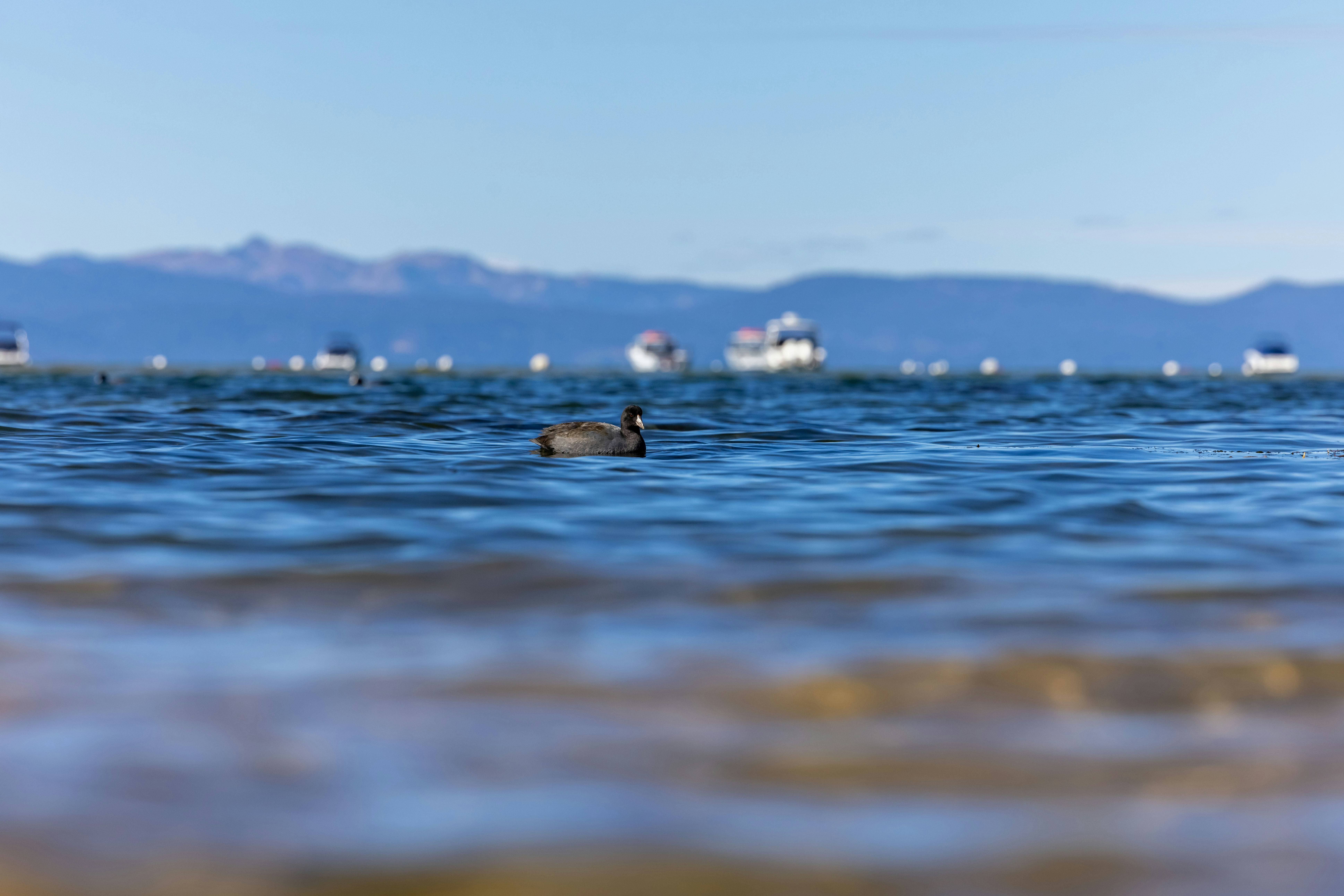 Photo by leo_visions_