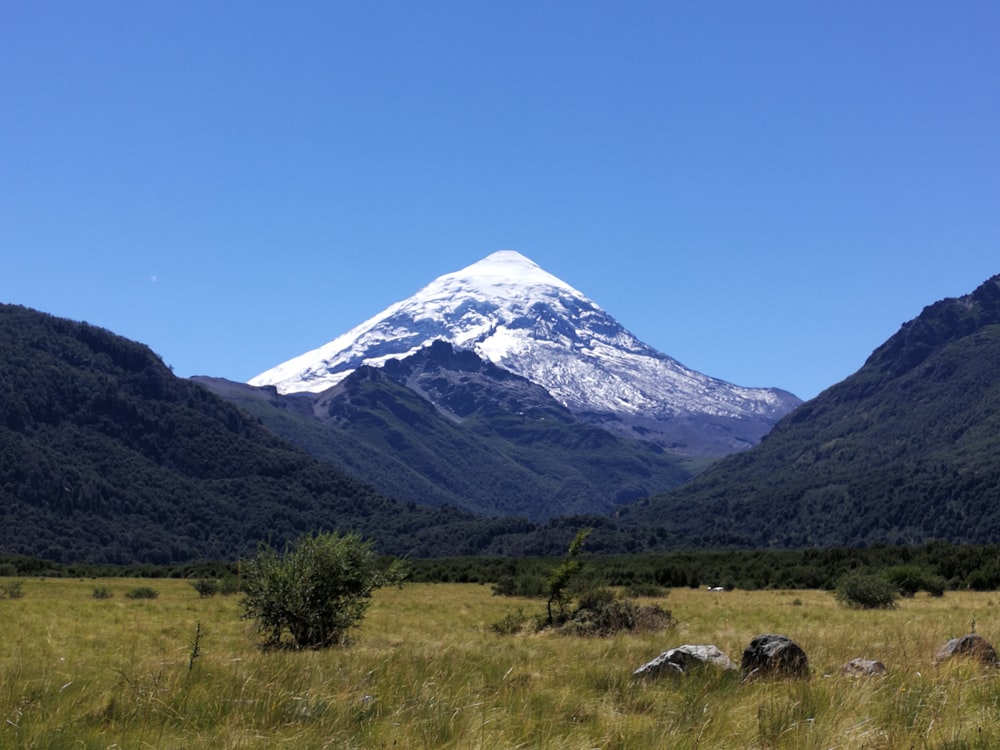 a large snow covered mountain towering over a lush green field