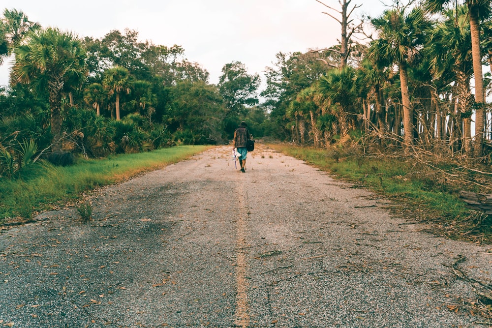 a person walking down a dirt road in the middle of a forest