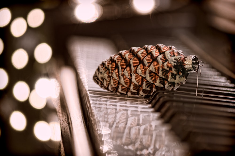 a pine cone sitting on top of a piano