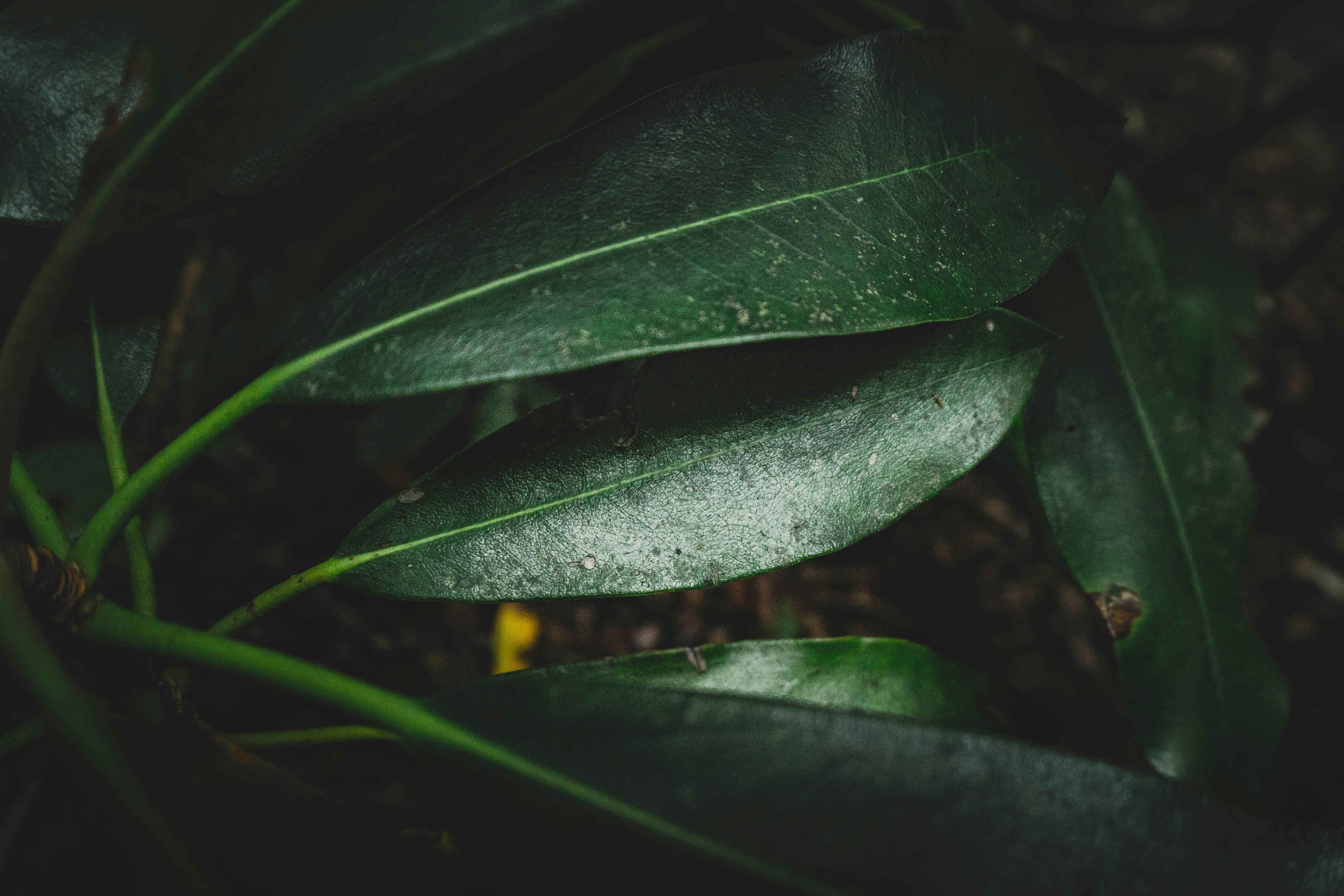 Photo by memory_terra