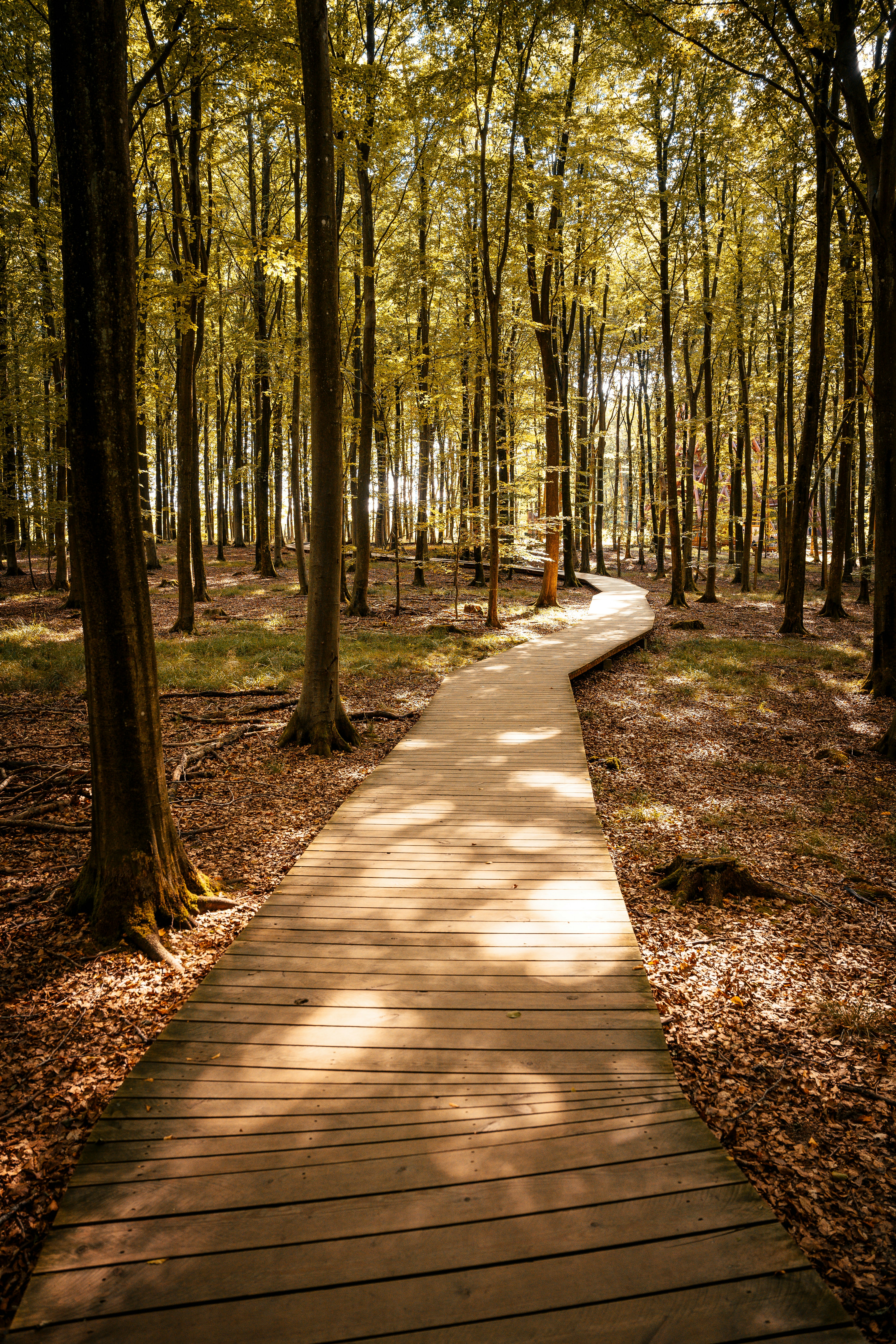 Photo by razvan_mirel