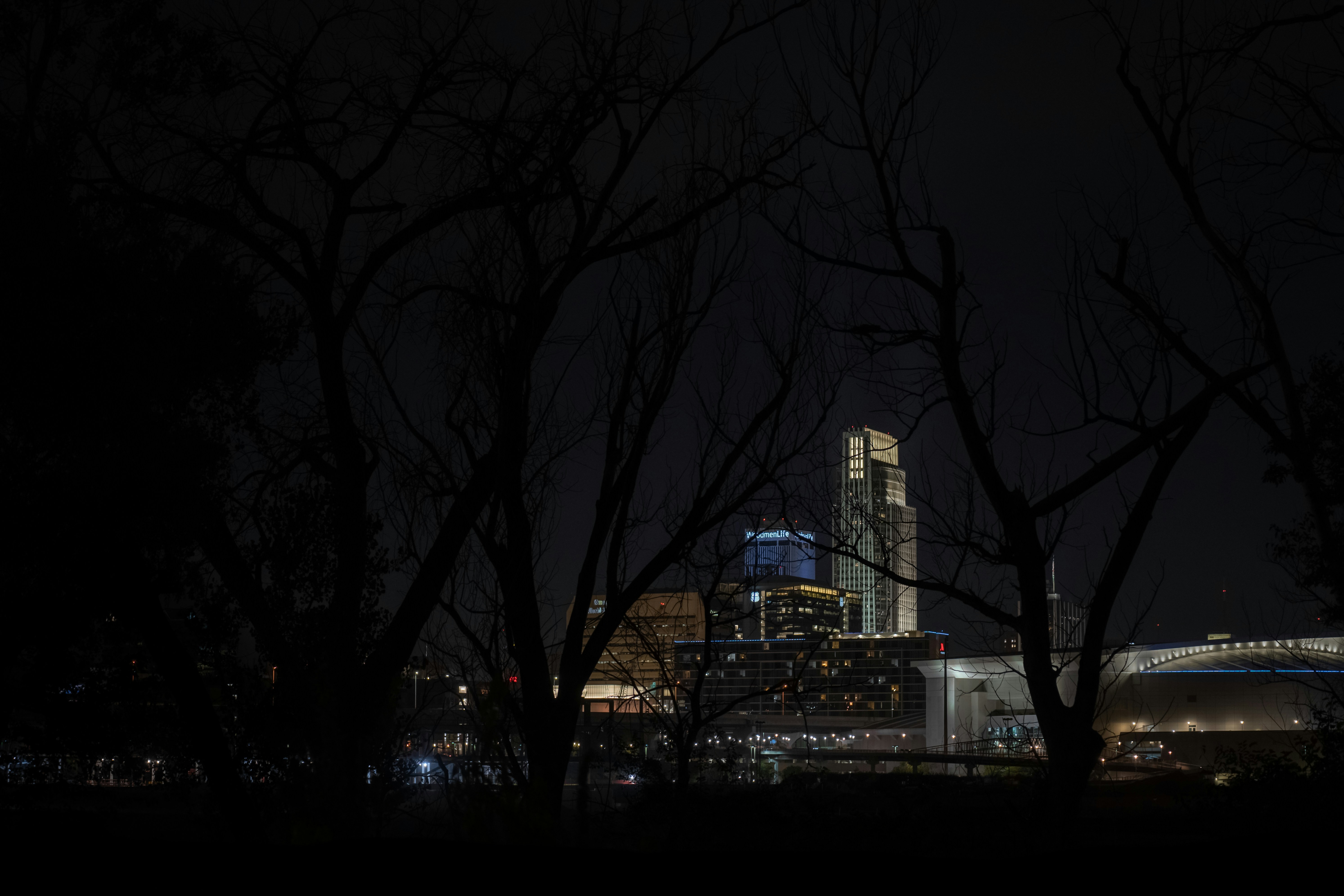 a view of a city at night from a park