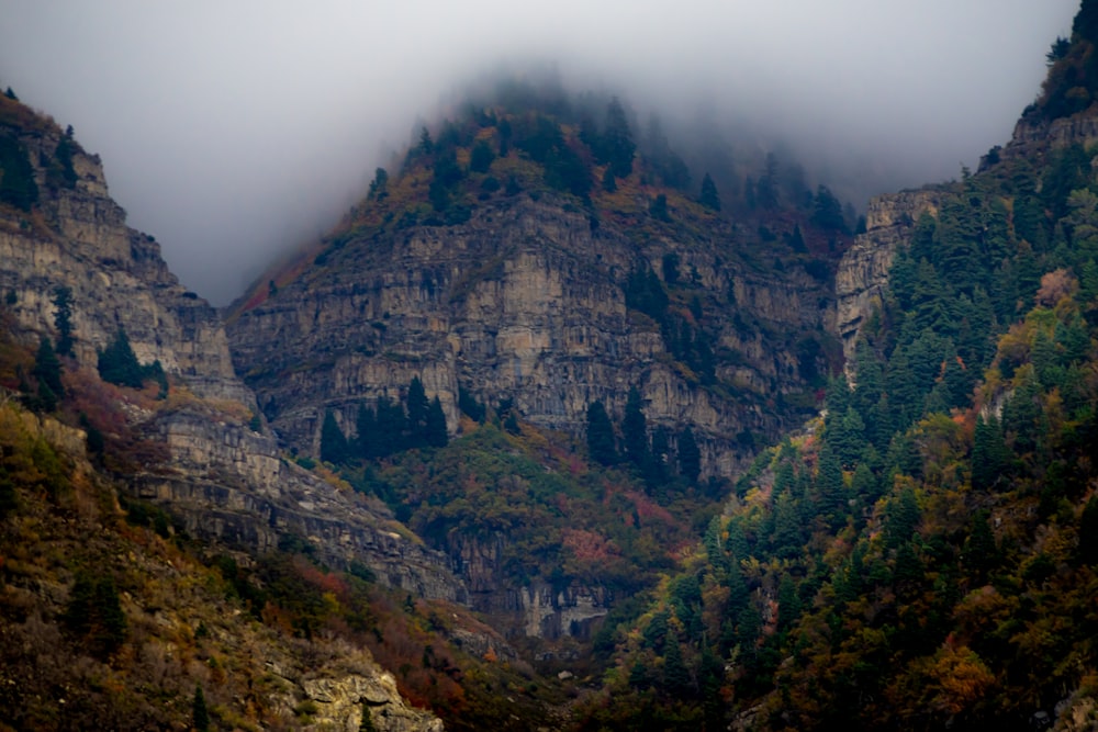 a mountain with a few trees on it