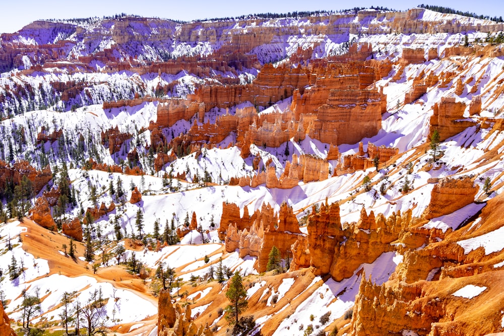 a snow covered mountain with trees in the foreground