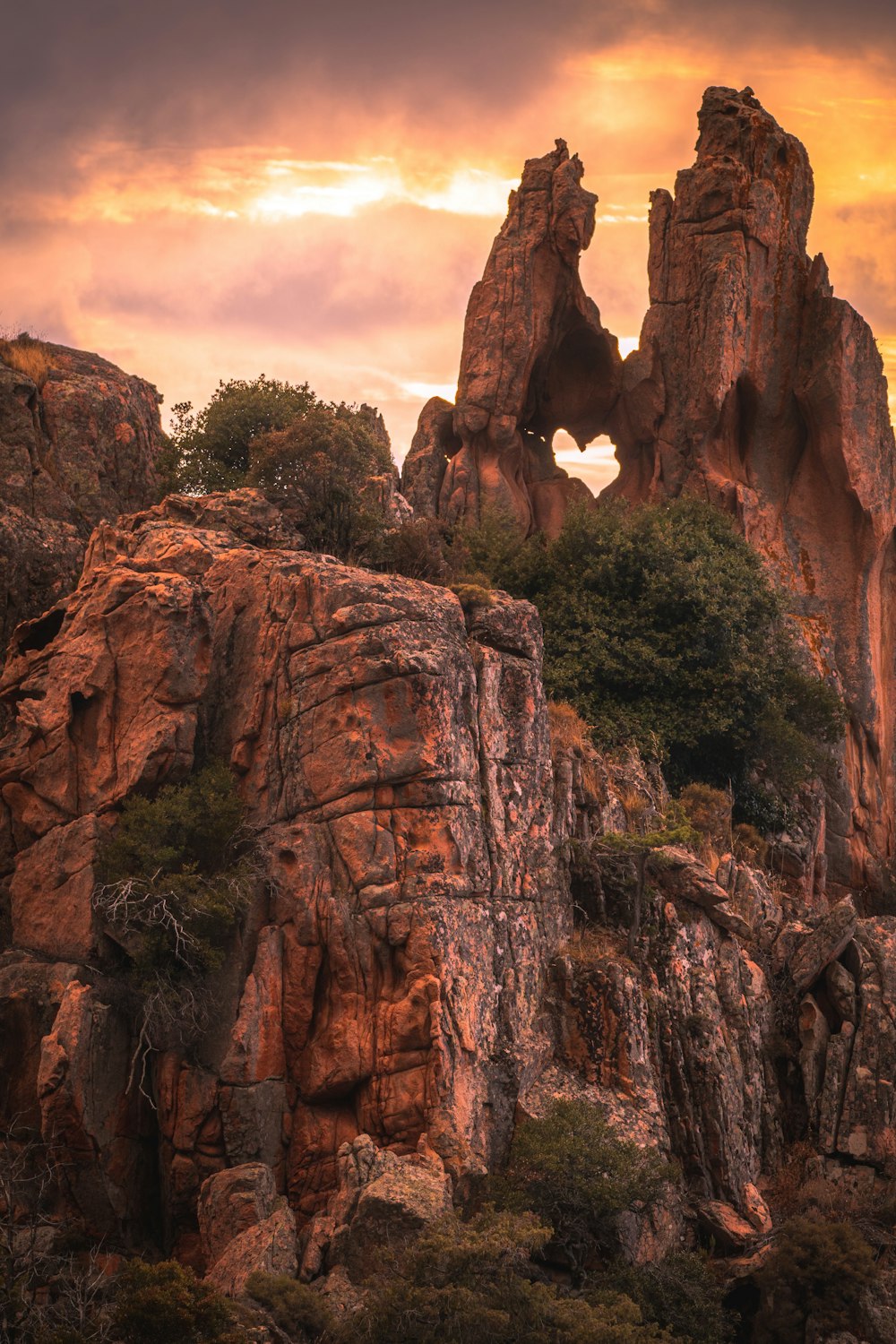 a large rock formation with trees growing out of it