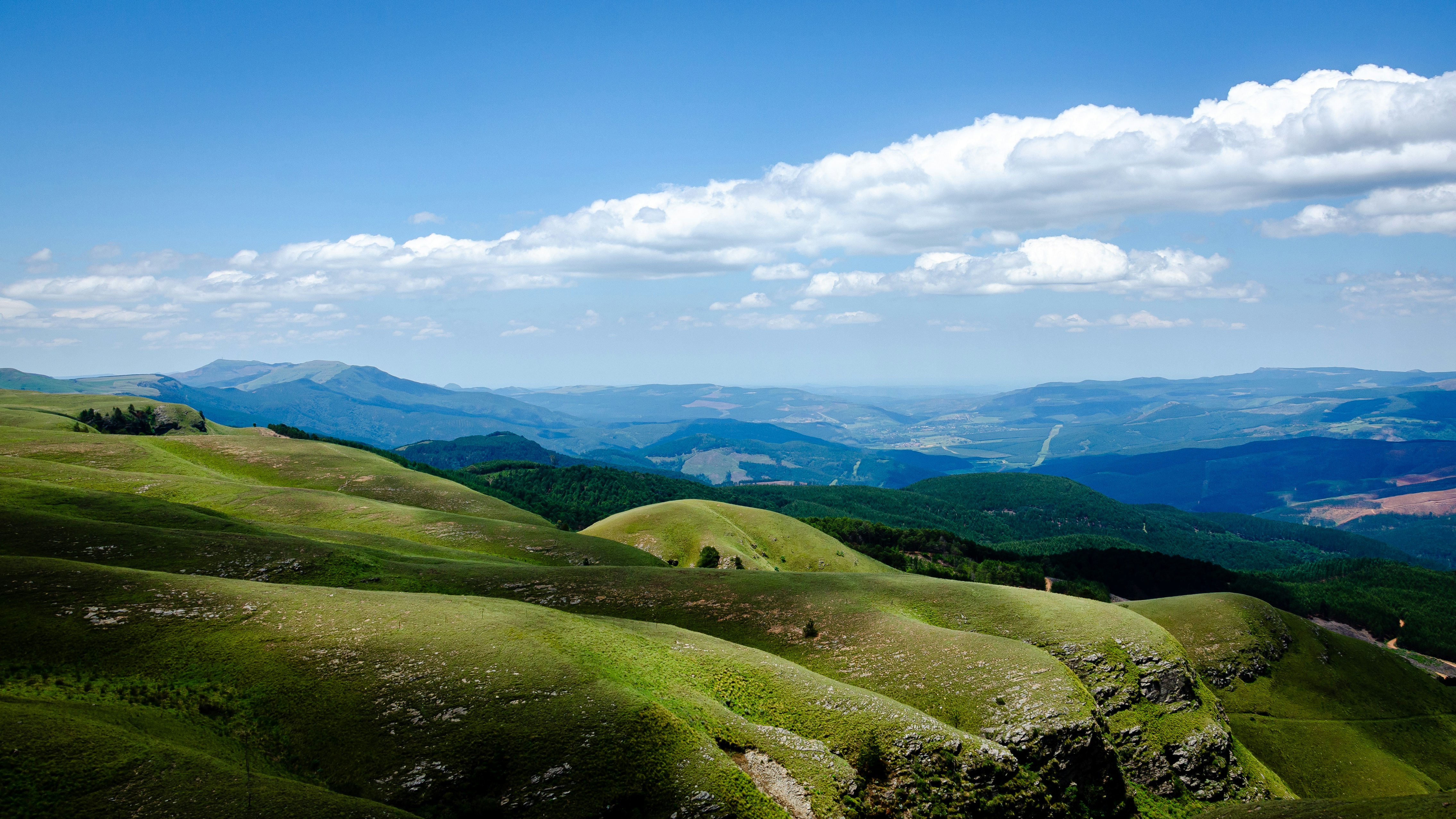 Photo by stewardesign