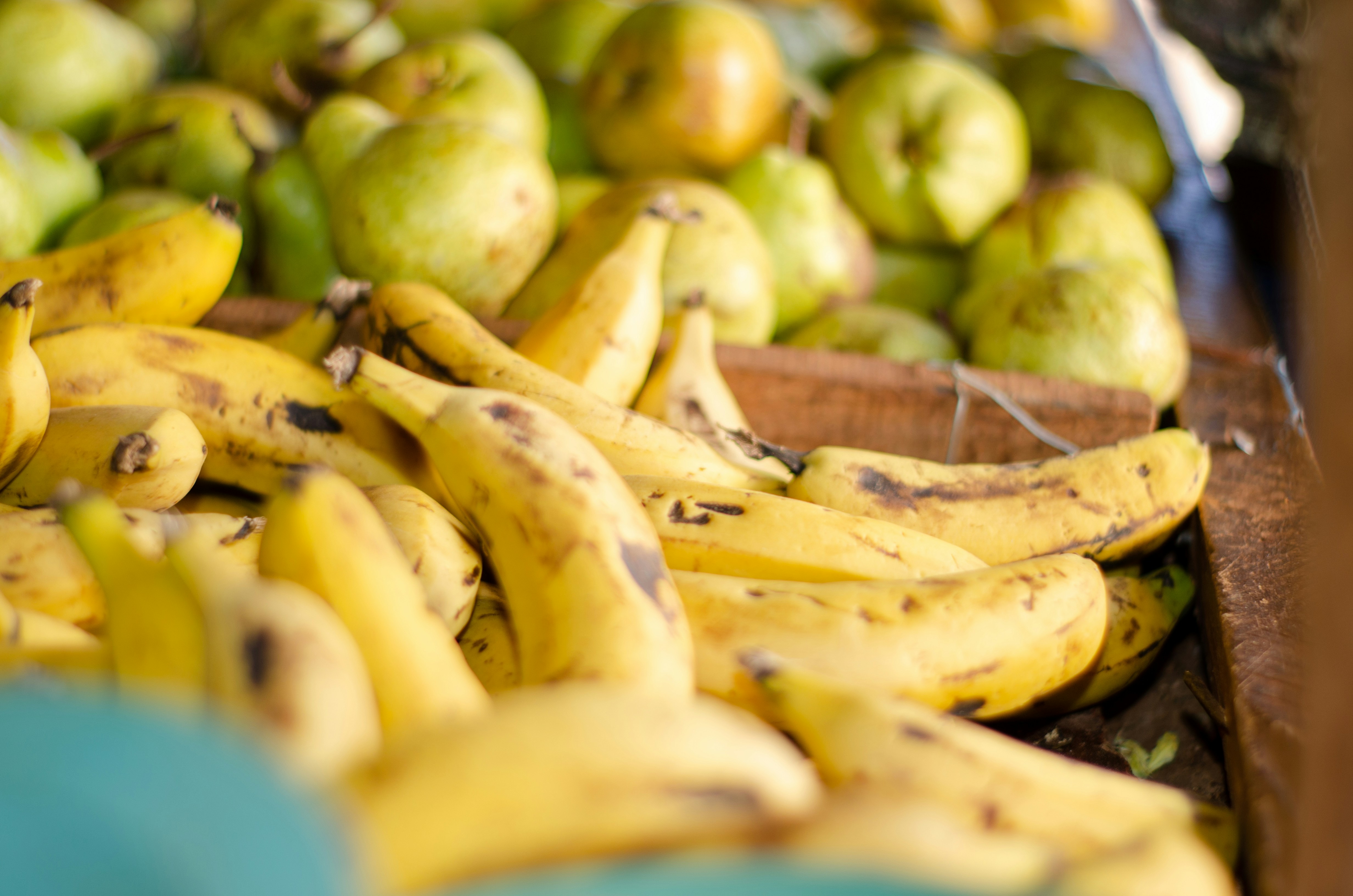 Photo by stewardesign