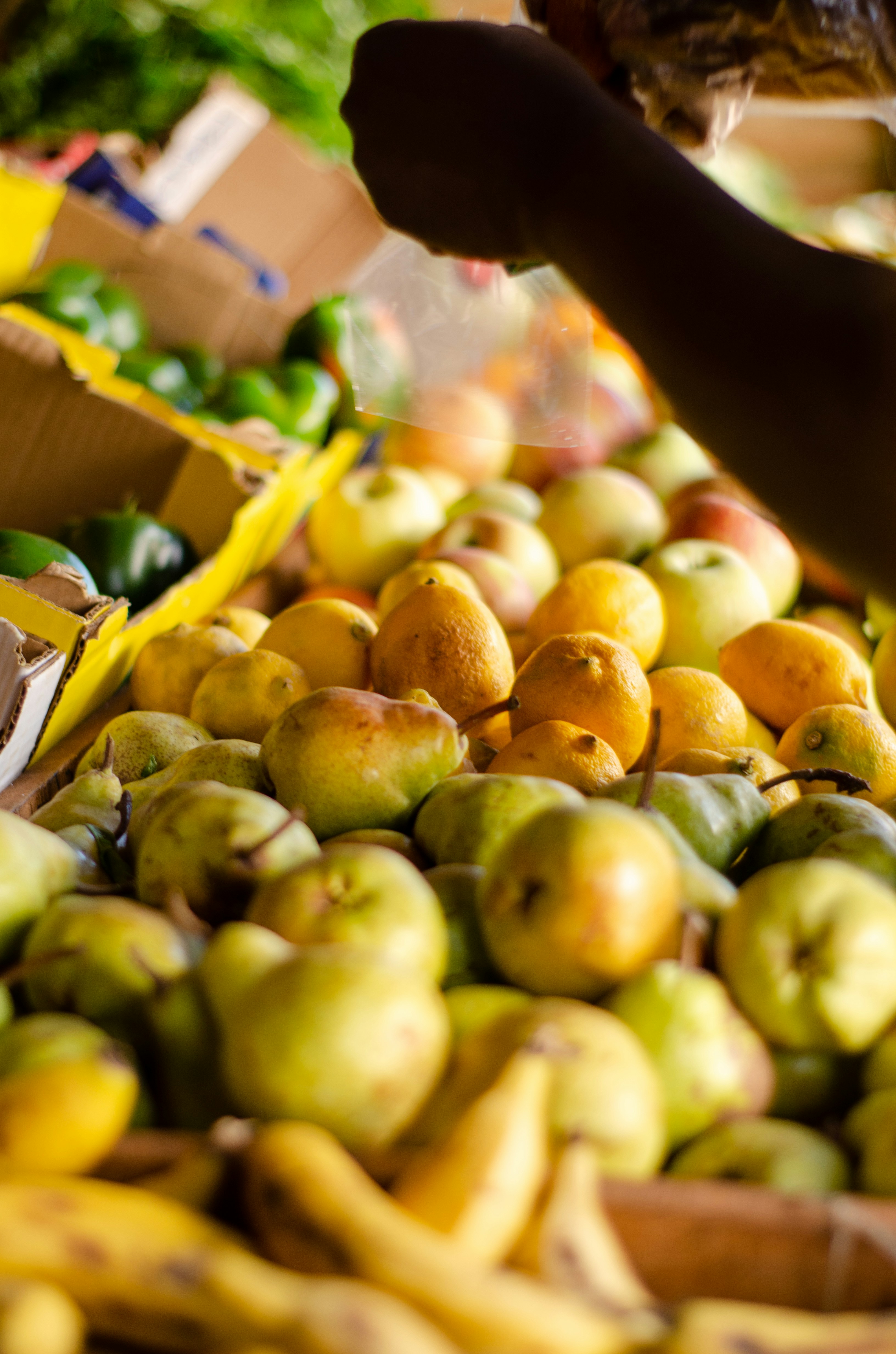 Photo by stewardesign