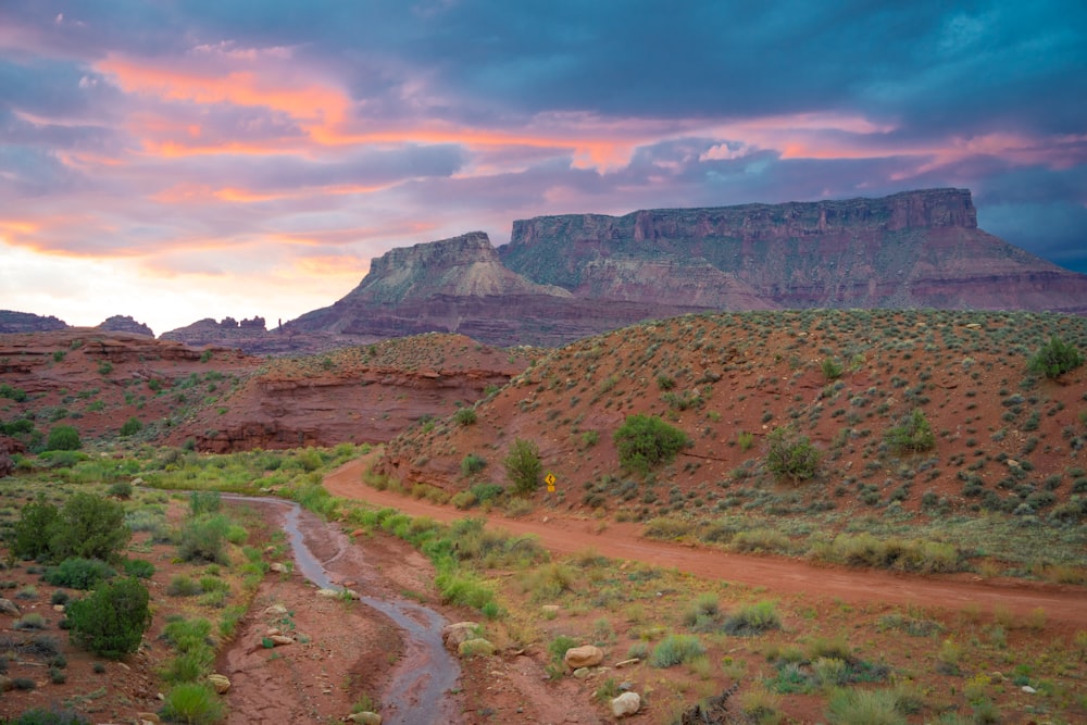 Un camino de tierra en medio de un desierto