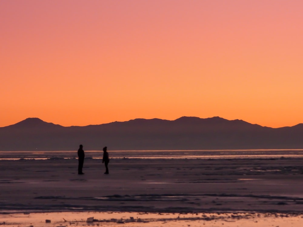 a couple of people standing on top of a beach