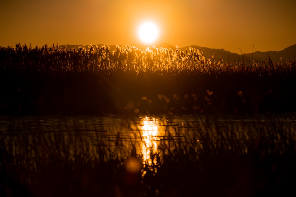 the sun is setting over a body of water