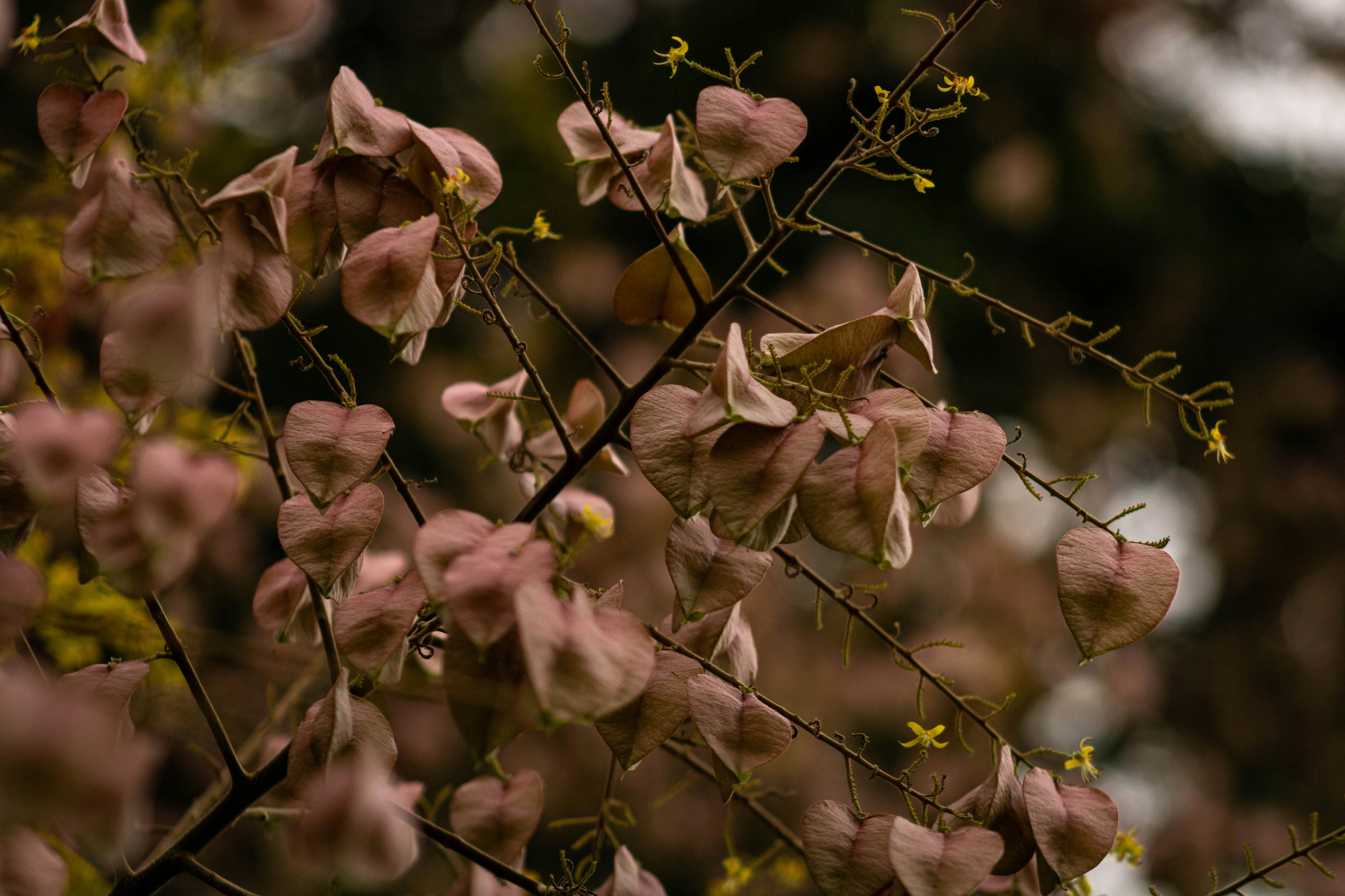 Photo by photography_yeti