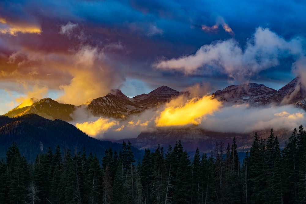 a mountain range covered in clouds and trees